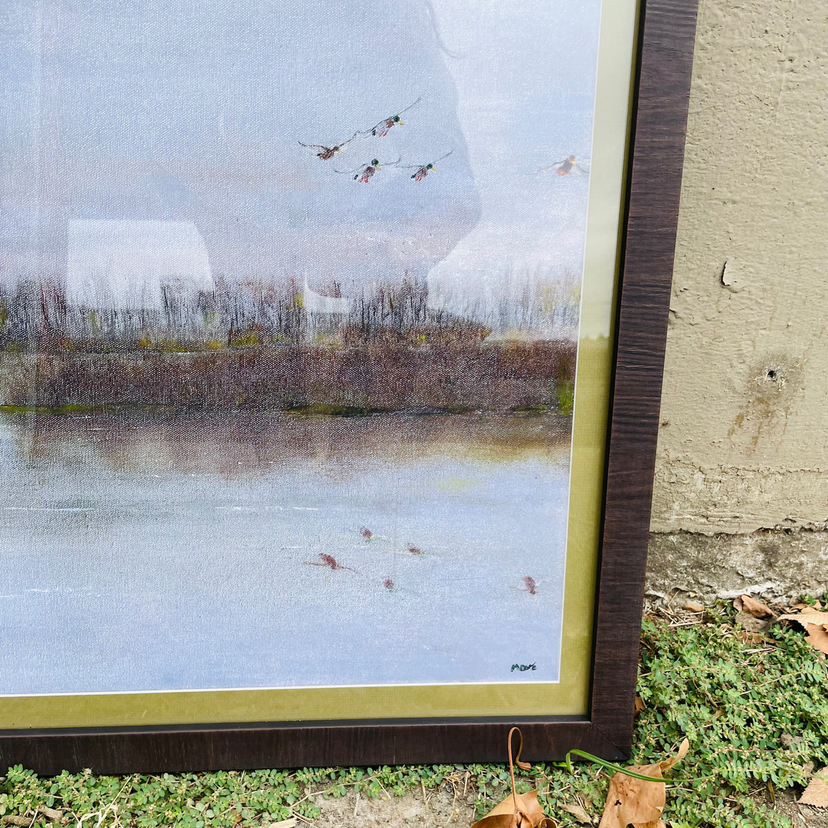 Duck Pond Framed Print