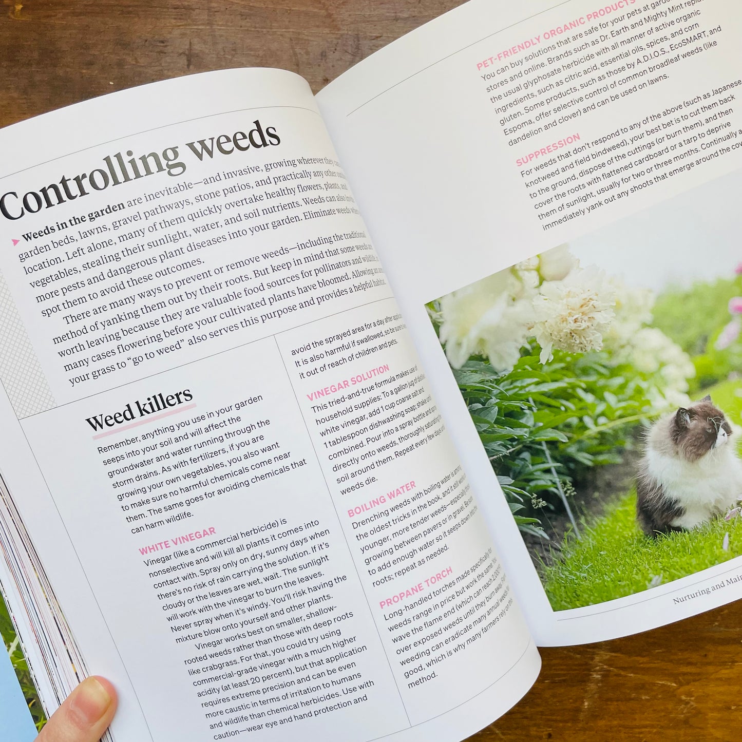 Martha Stewart's Gardening Handbook