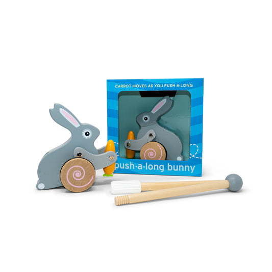 Bunny Push Toy