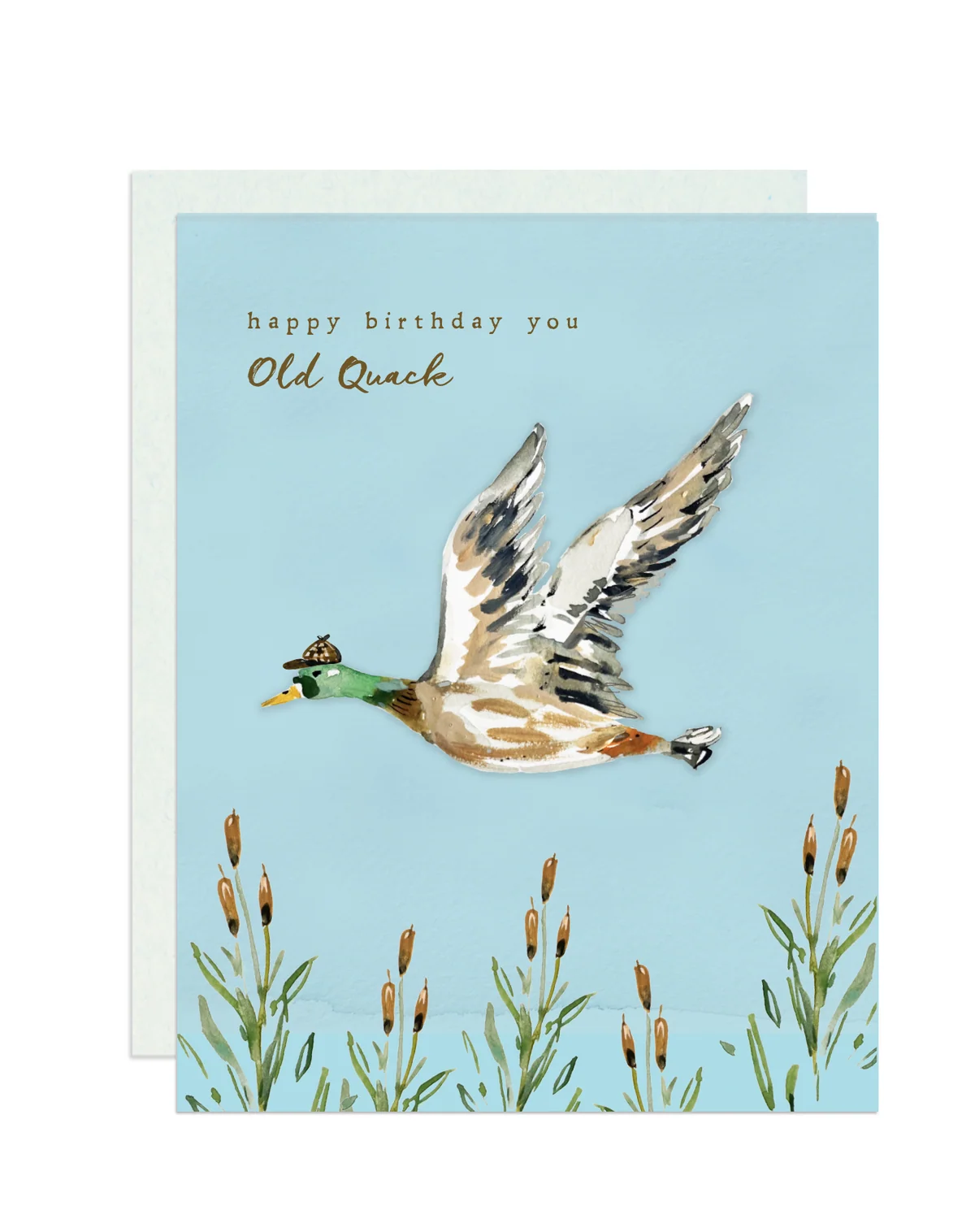 Happy Birthday Old Quack