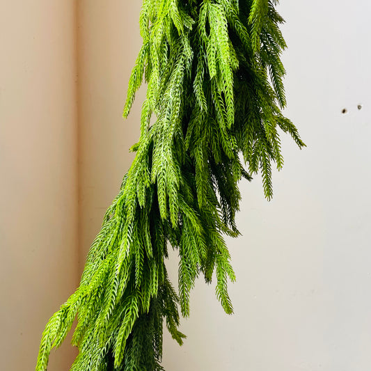 Norfolk Pine Garland