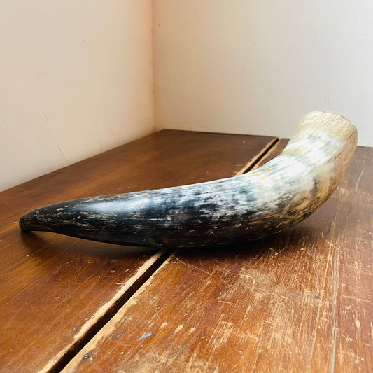 Real Bovine Horn- Vintage