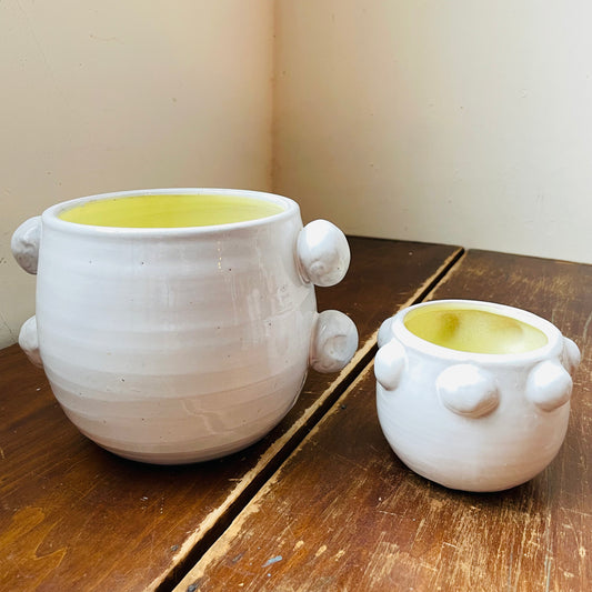 Fem Rosa Pot Set- Vintage