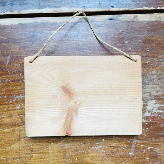 Fisherman's Catch of His Life Wooden Sign- Vintage