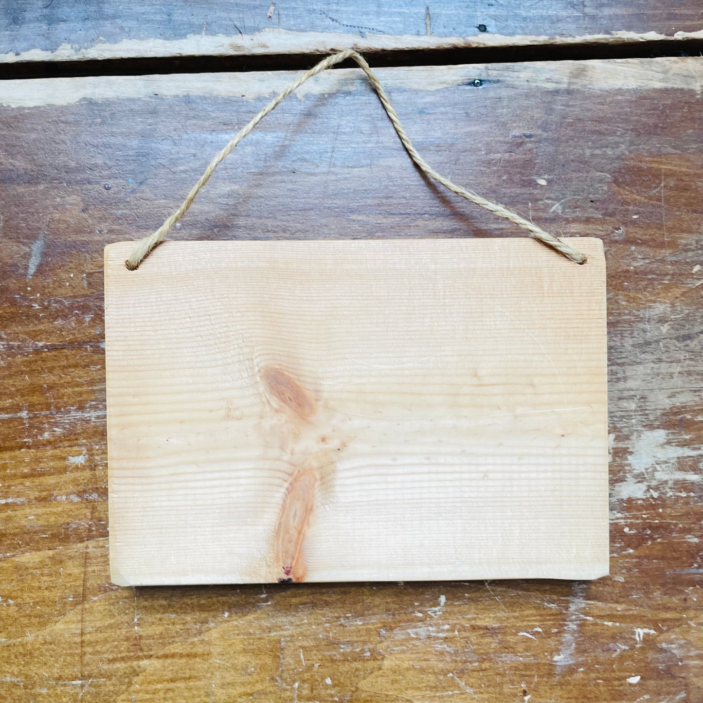 Fisherman's Catch of His Life Wooden Sign- Vintage
