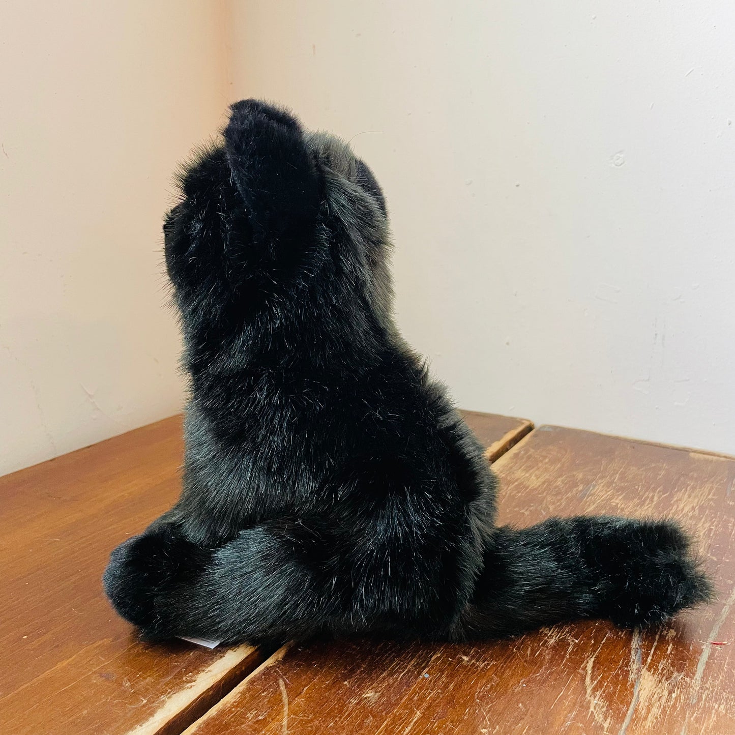 Lenny the Black Cat Plush