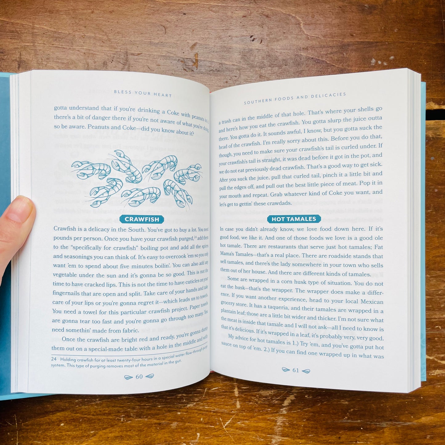 Bless Your Heart: A Field Guide to All Things Southern