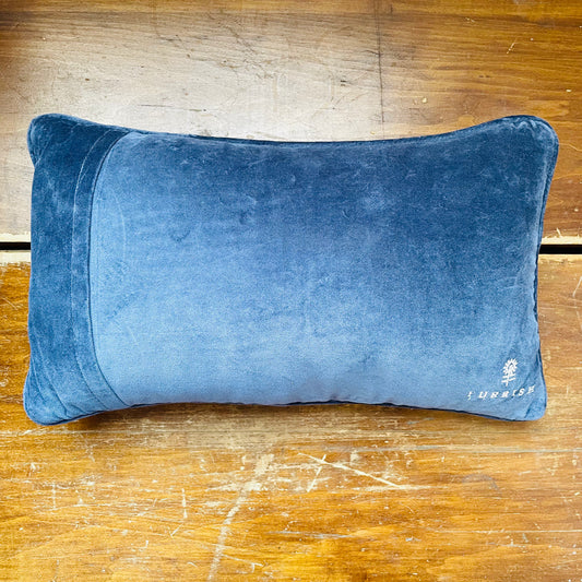 Uncomfortable Needlepoint Pillow