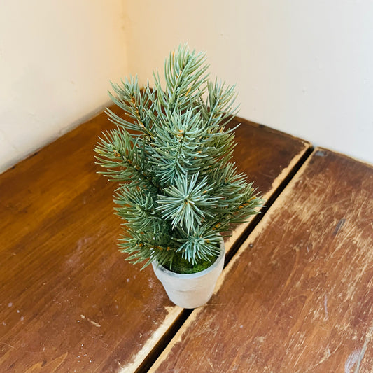 Mini Potted Pine Tree