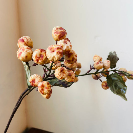 Dried Vanilla Crabapple Stem