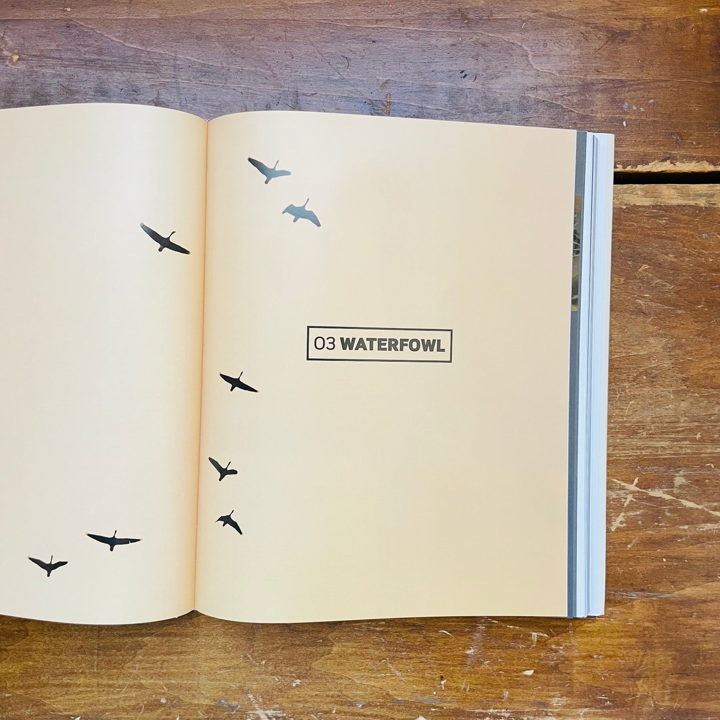 The MeatEater Fish and Game Cookbook: Recipes and Techniques for Every Hunter and Angler