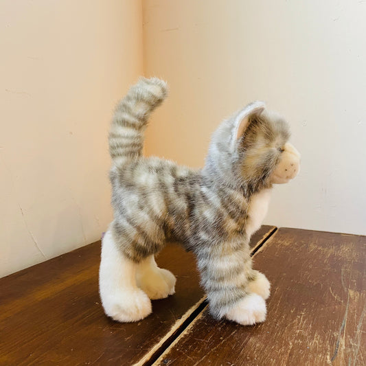 Moon the Gray Tabby Cat