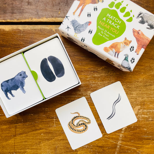 Match a Track: Match 25 Animals to Their Paw Prints