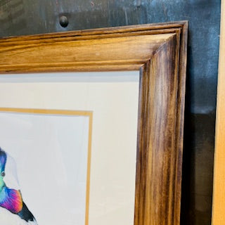 Bufflehead Study- Cory James Fine Art