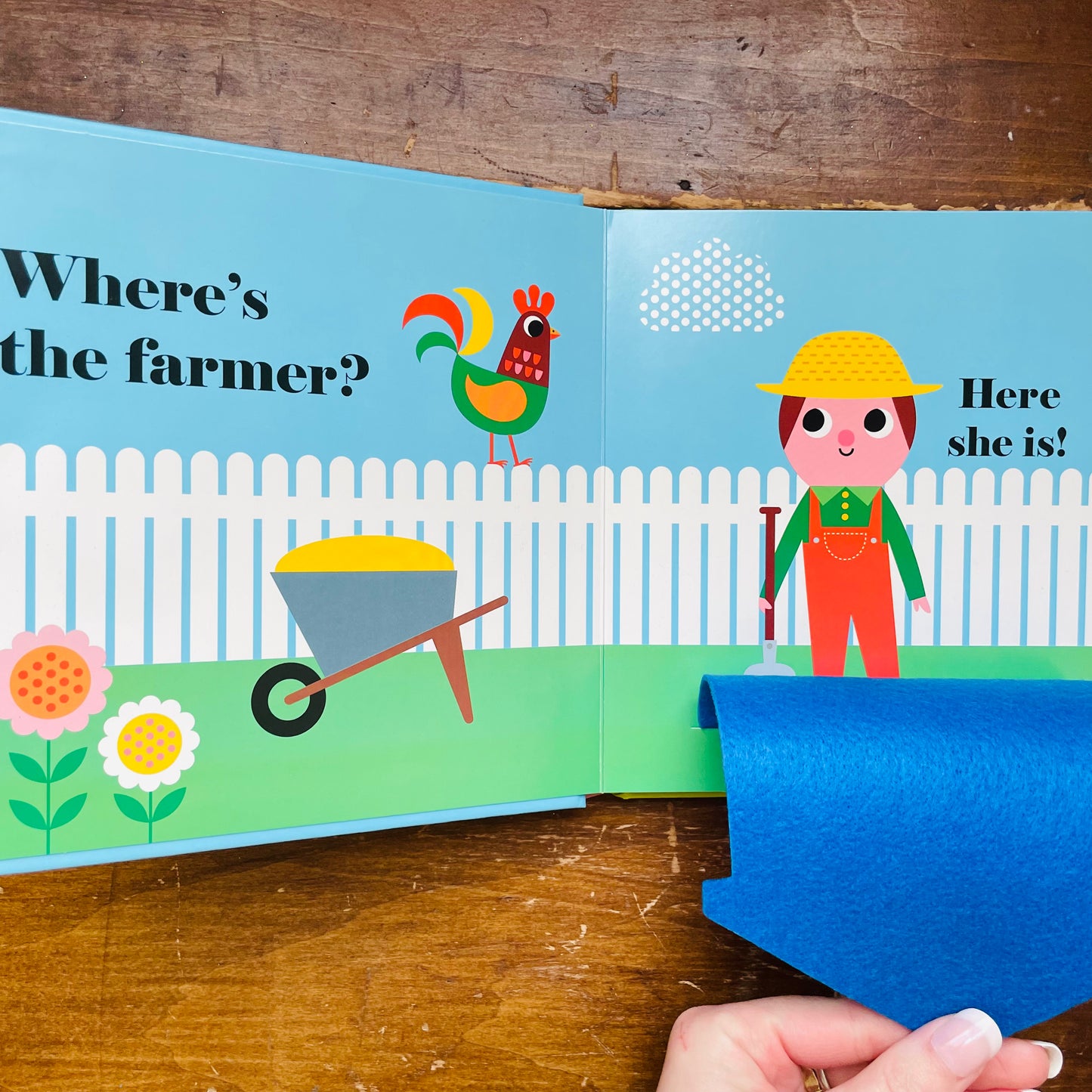 Where's the Tractor?: An Interactive, Sensory Lift-the-Flap Book with Felt Flaps