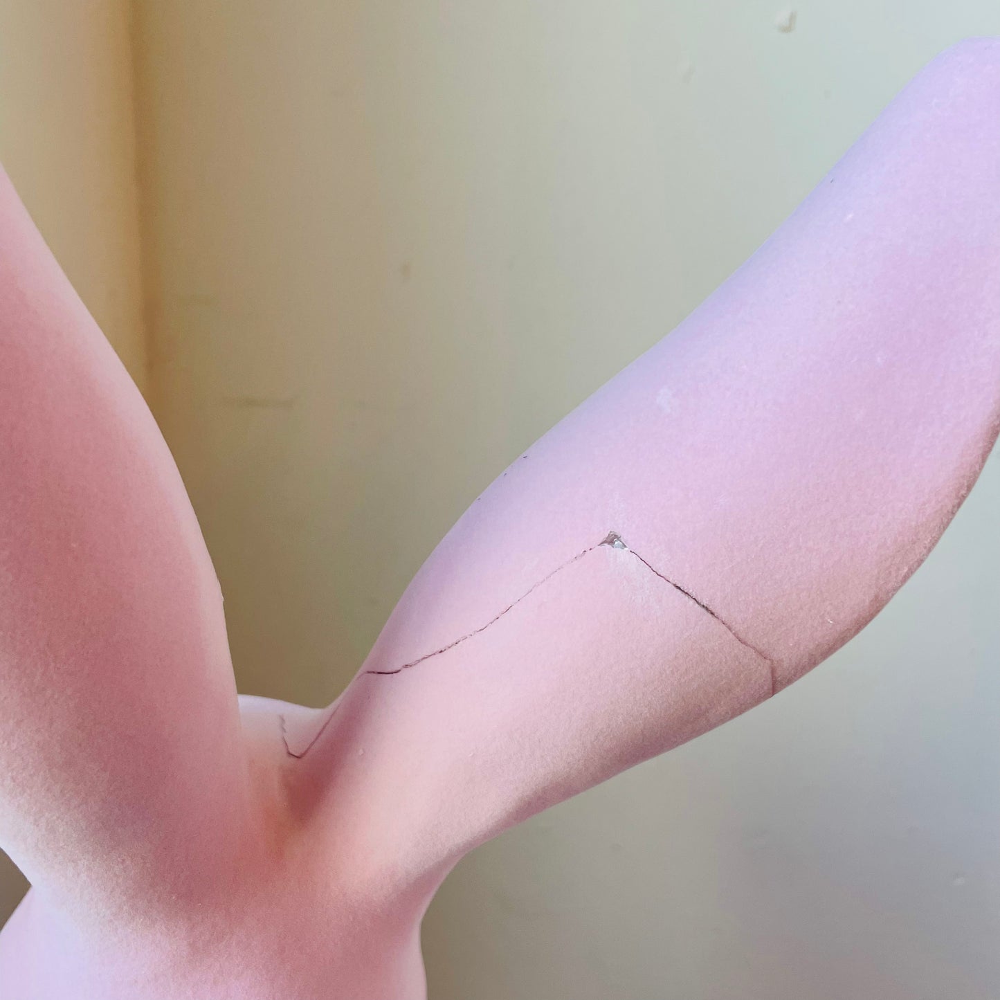 Pinkie the Giant Flocked Rabbit