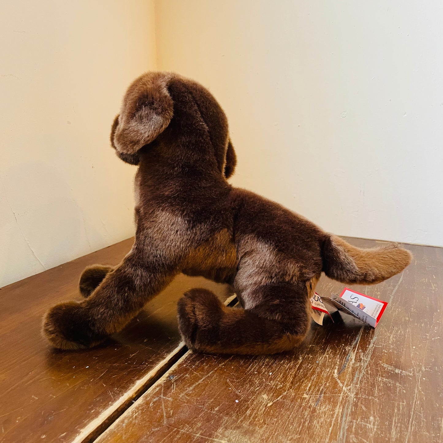 Drake the Chocolate Lab Plush