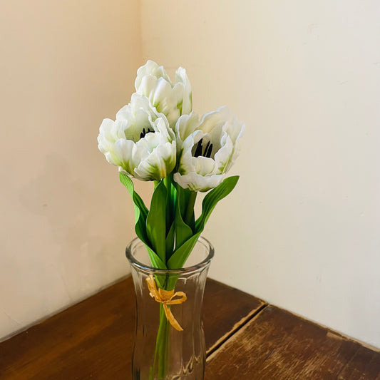 White Tulip Bundle