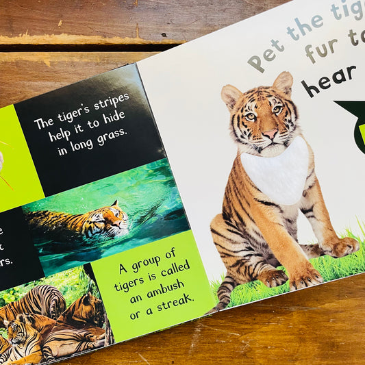 Noisy Animals Sound Board Book