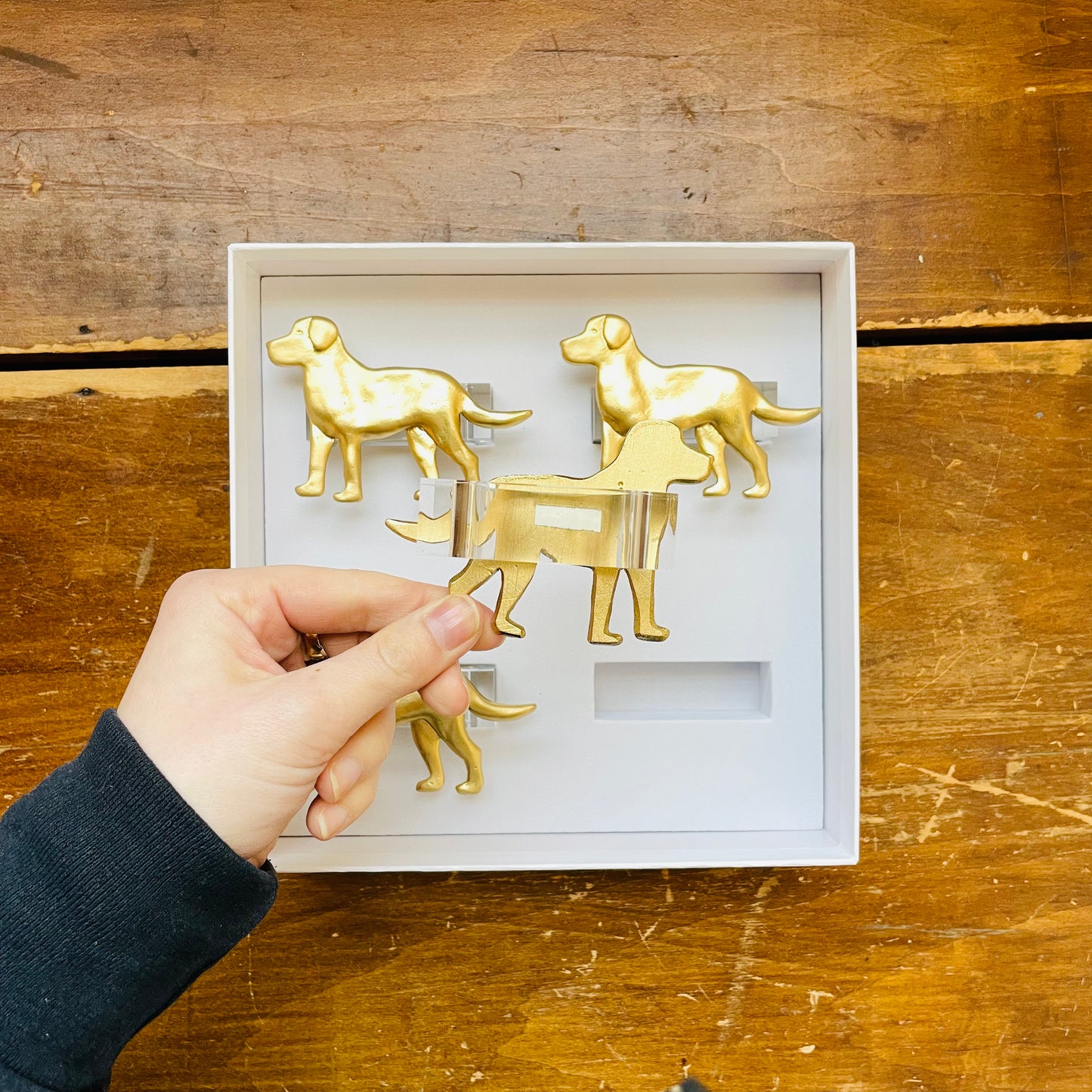 Labrador Clear Napkin Rings