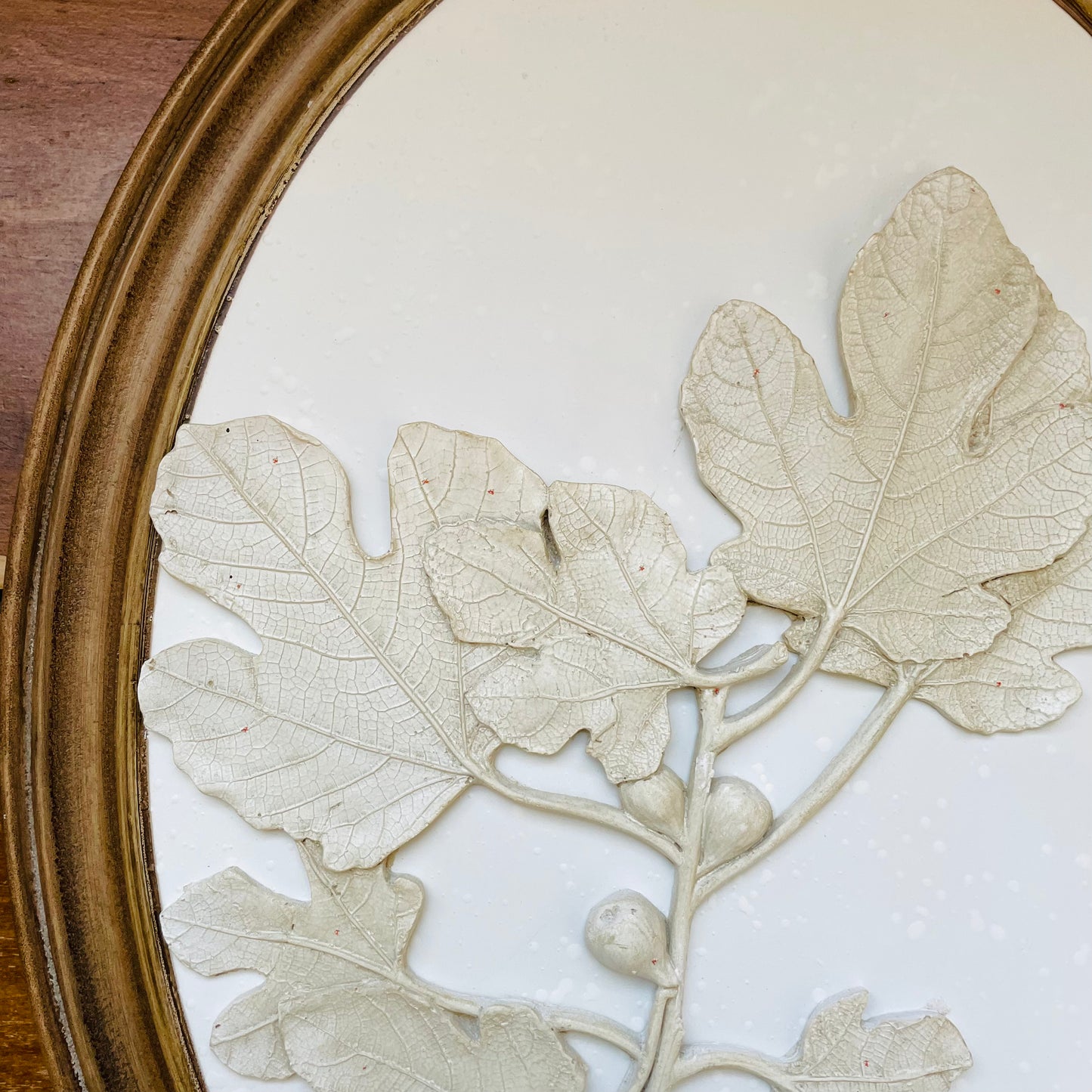 Oval Wood Framed Plaster Cast Tree Leaves & Fruit