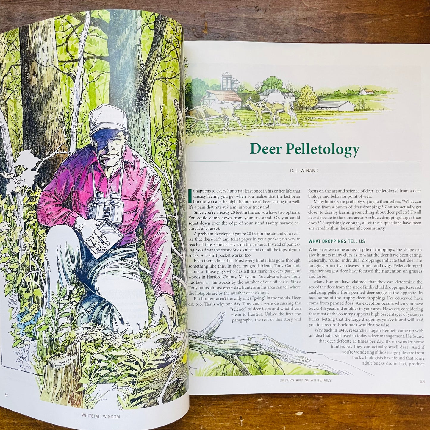 Whitetail Wisdom Book- Vintage