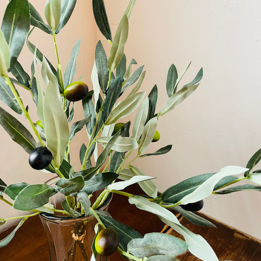 Italian Olive Branch Bunch
