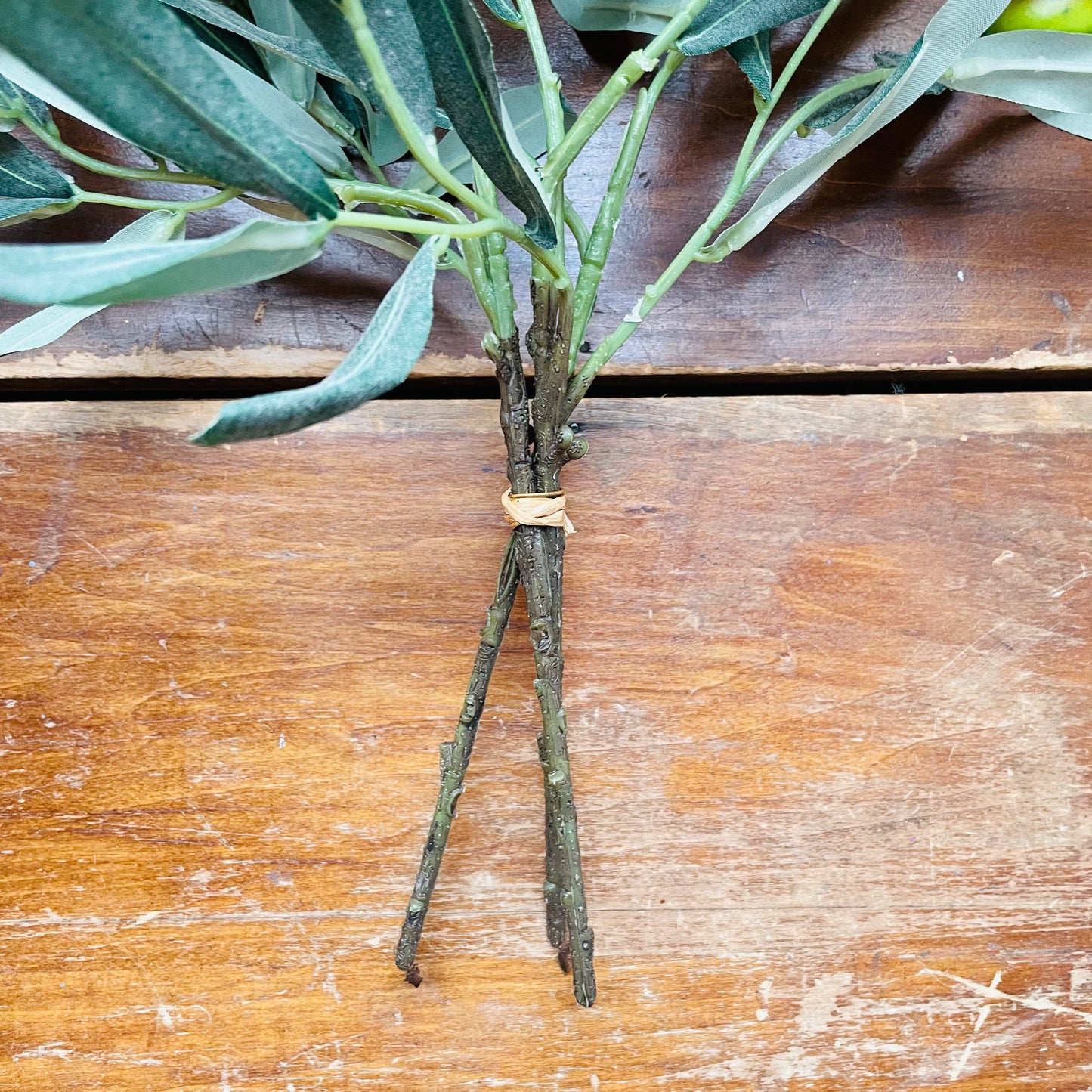 Italian Olive Branch Bunch