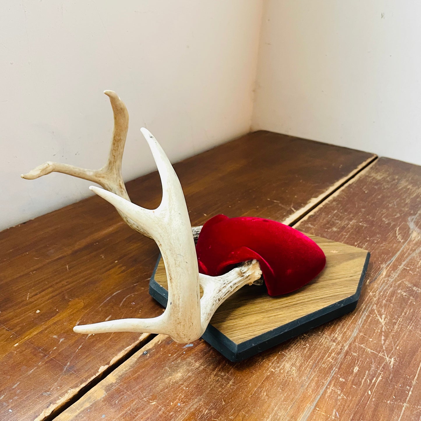 The Quincy Whitetail Deer Plaque Mount- Vintage