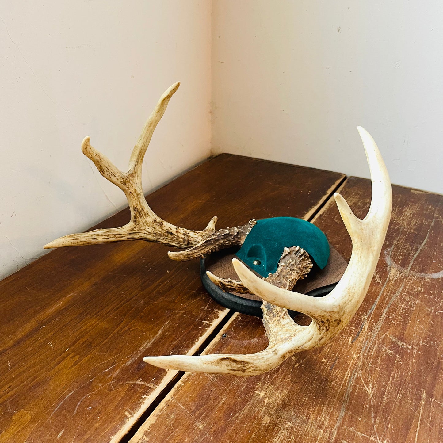 The Alma Whitetail Deer Plaque Mount- Vintage
