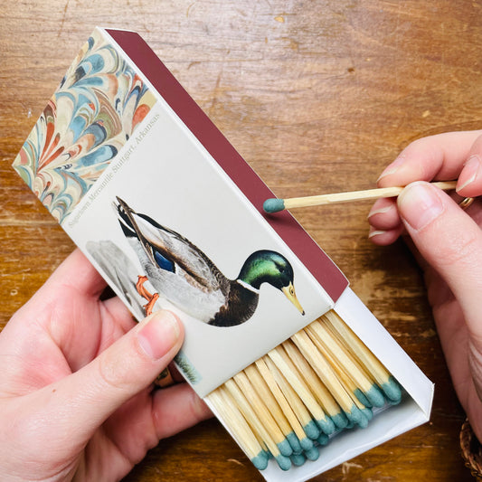 Mallard Duck Matches