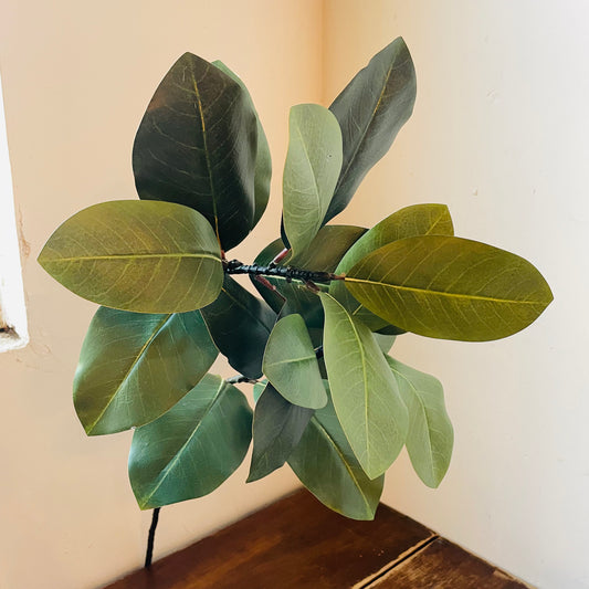 Southern Magnolia Branch