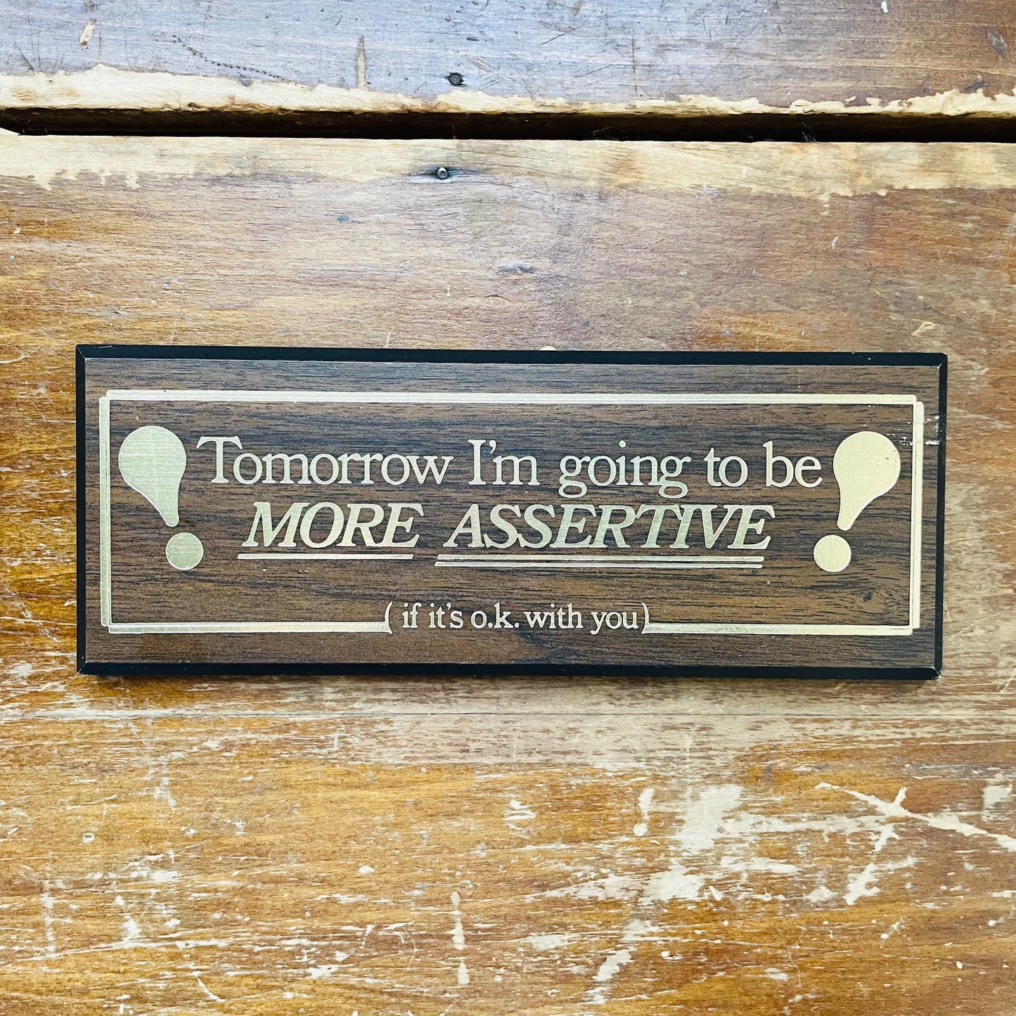 More Assertive Sign- Vintage