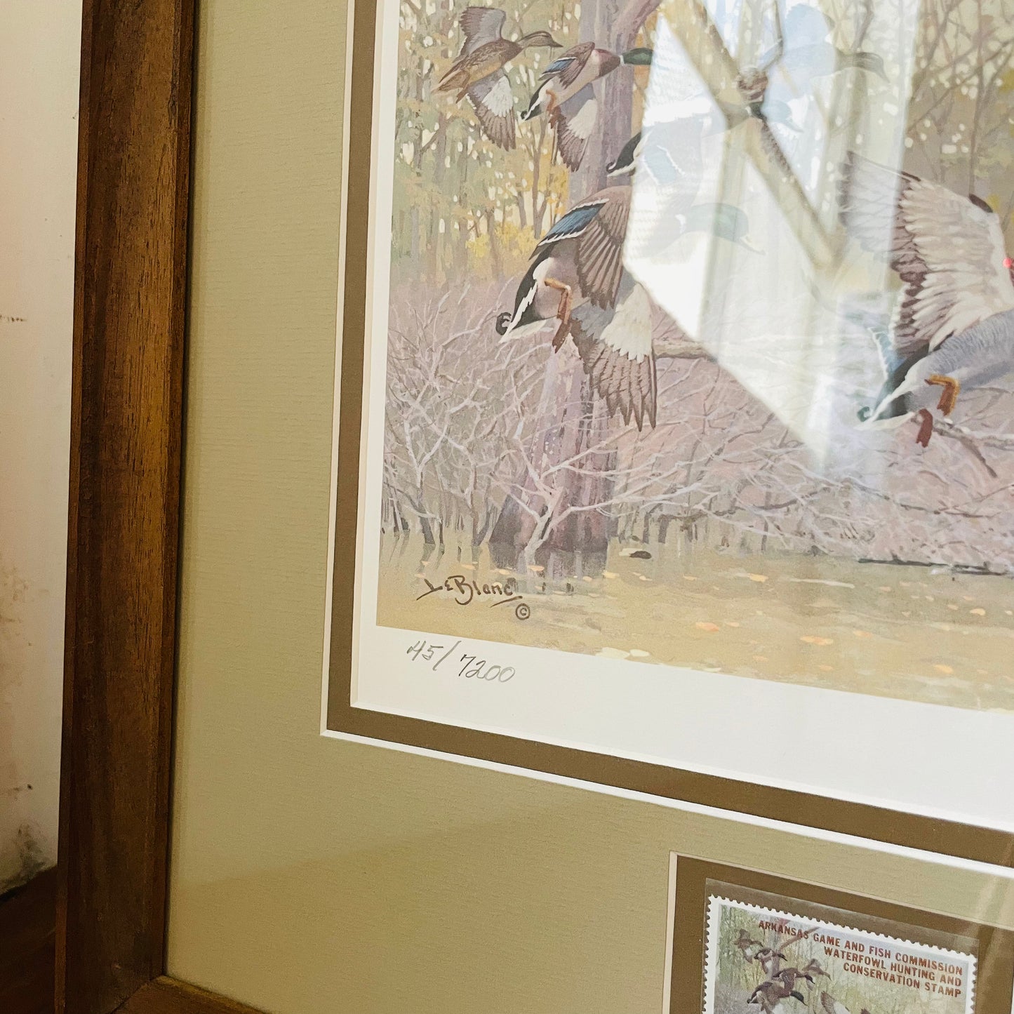 Framed 1981-1982 Duck Stamp with "Bayou Meto Mallards" Print- Vintage