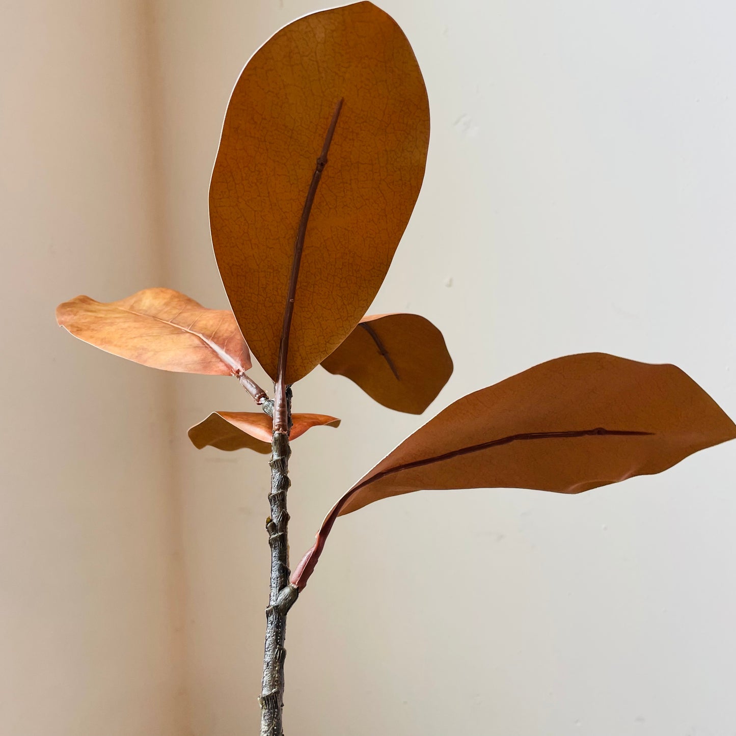 Cinnamon Magnolia Pick