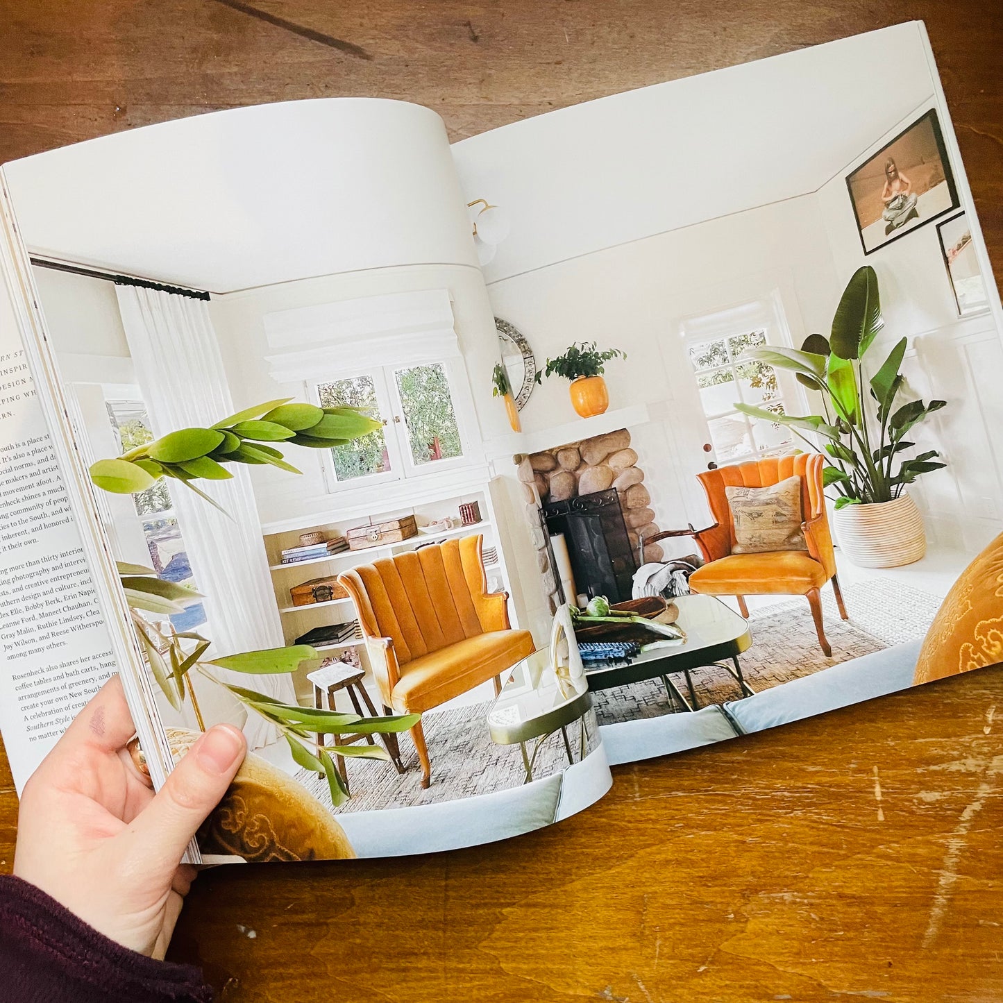 The New Southern Style: The Interiors of a Lifestyle and Design Movement