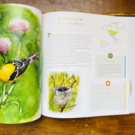 Hear Them Sing: A Kid's Book of North American Bird Songs and Calls
