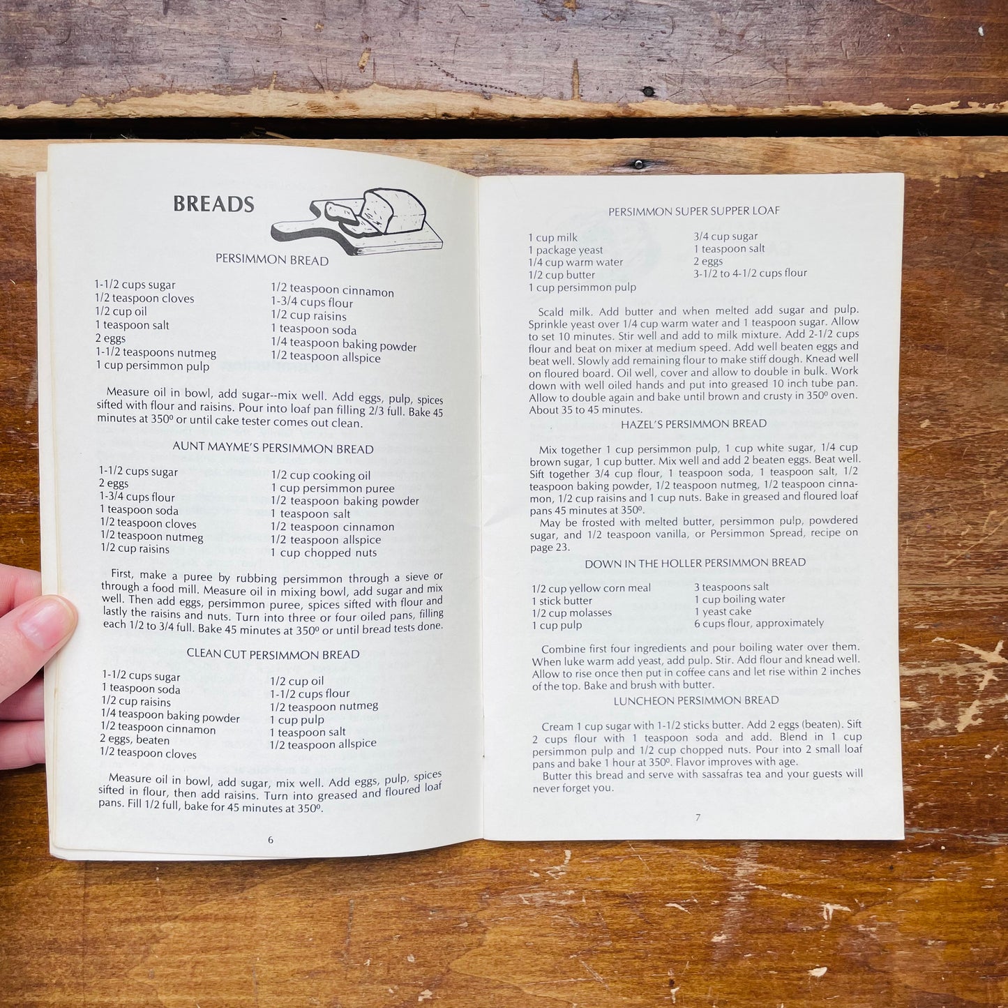 Persimmon Recipe Cookbook- Vintage