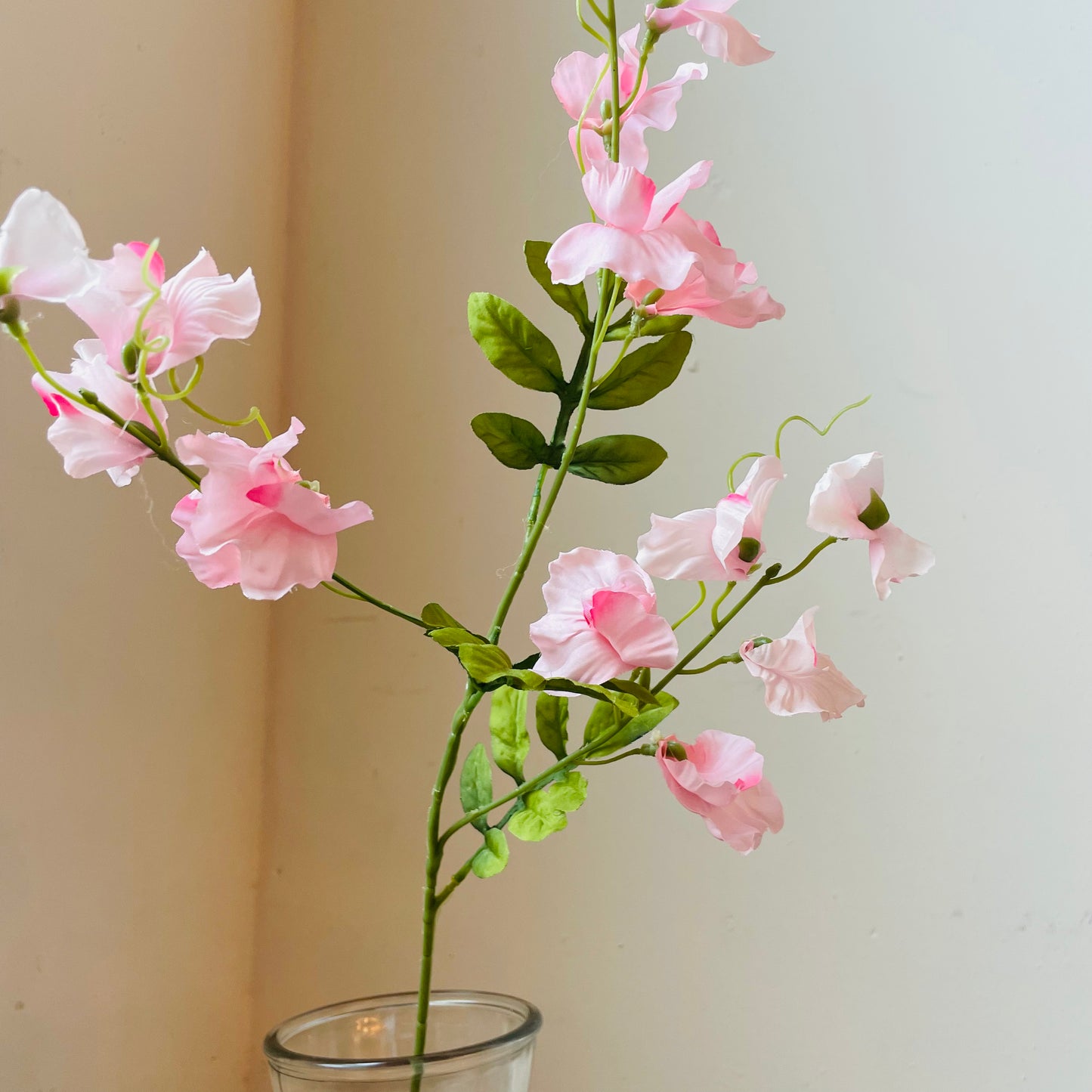 Lavender Sweet Pea Stem