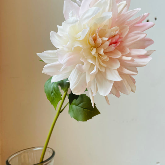 Blush Dahlia Stem