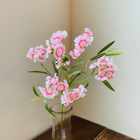 Pink Sweet William Stem