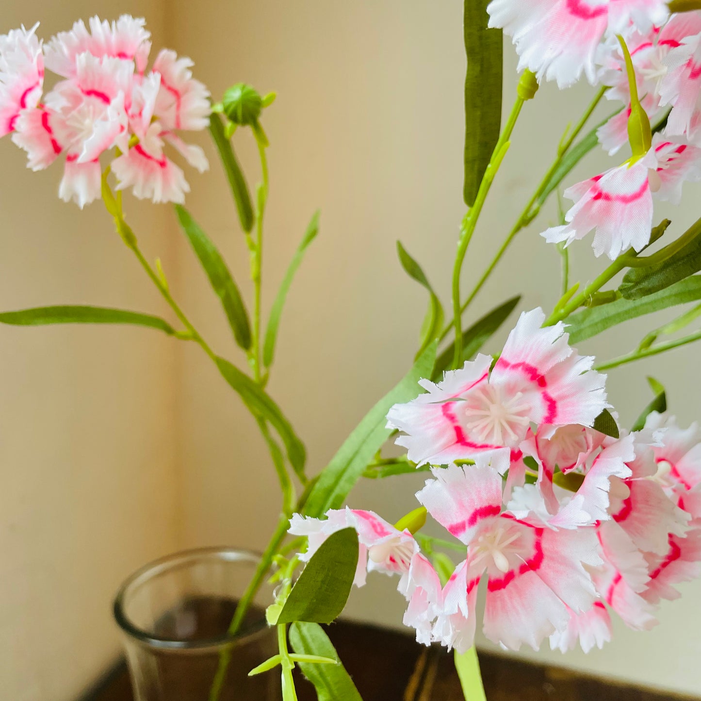 Pink Sweet William Stem