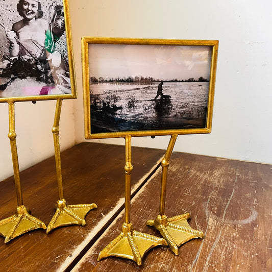 Donald Duck Foot Frame