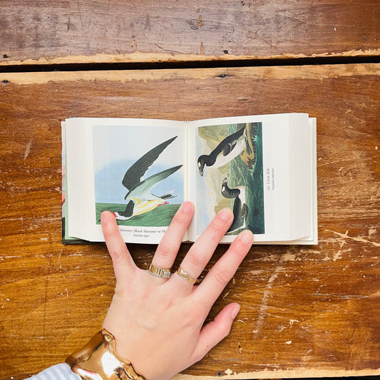 Audubon's Birds of America: The Tiny Folio