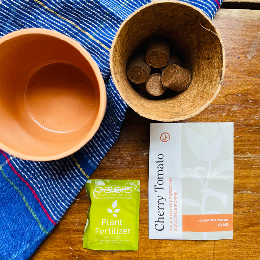 Tiny Terracotta Garden Kit: Cherry Tomato