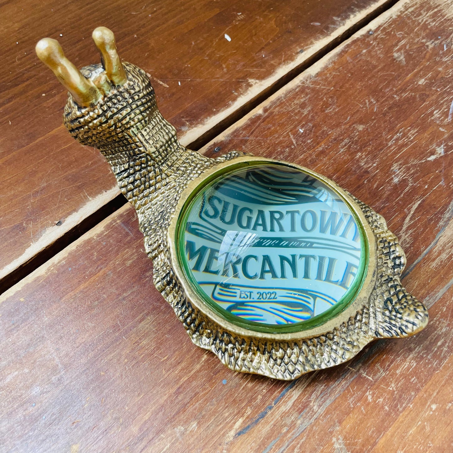 Kasden Magnifying Glass