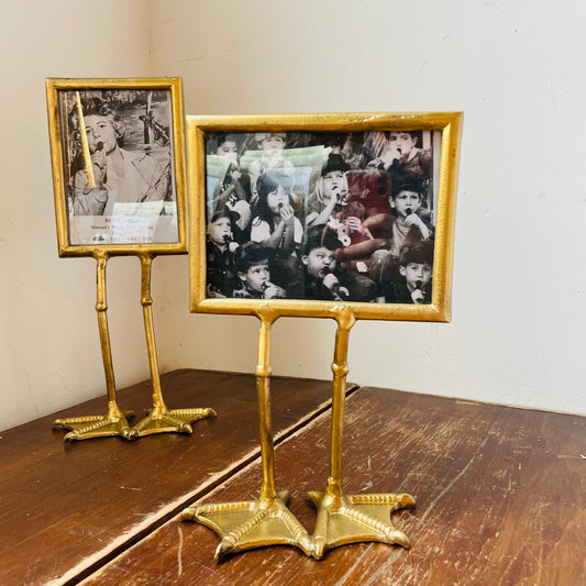Donald Duck Foot Frame
