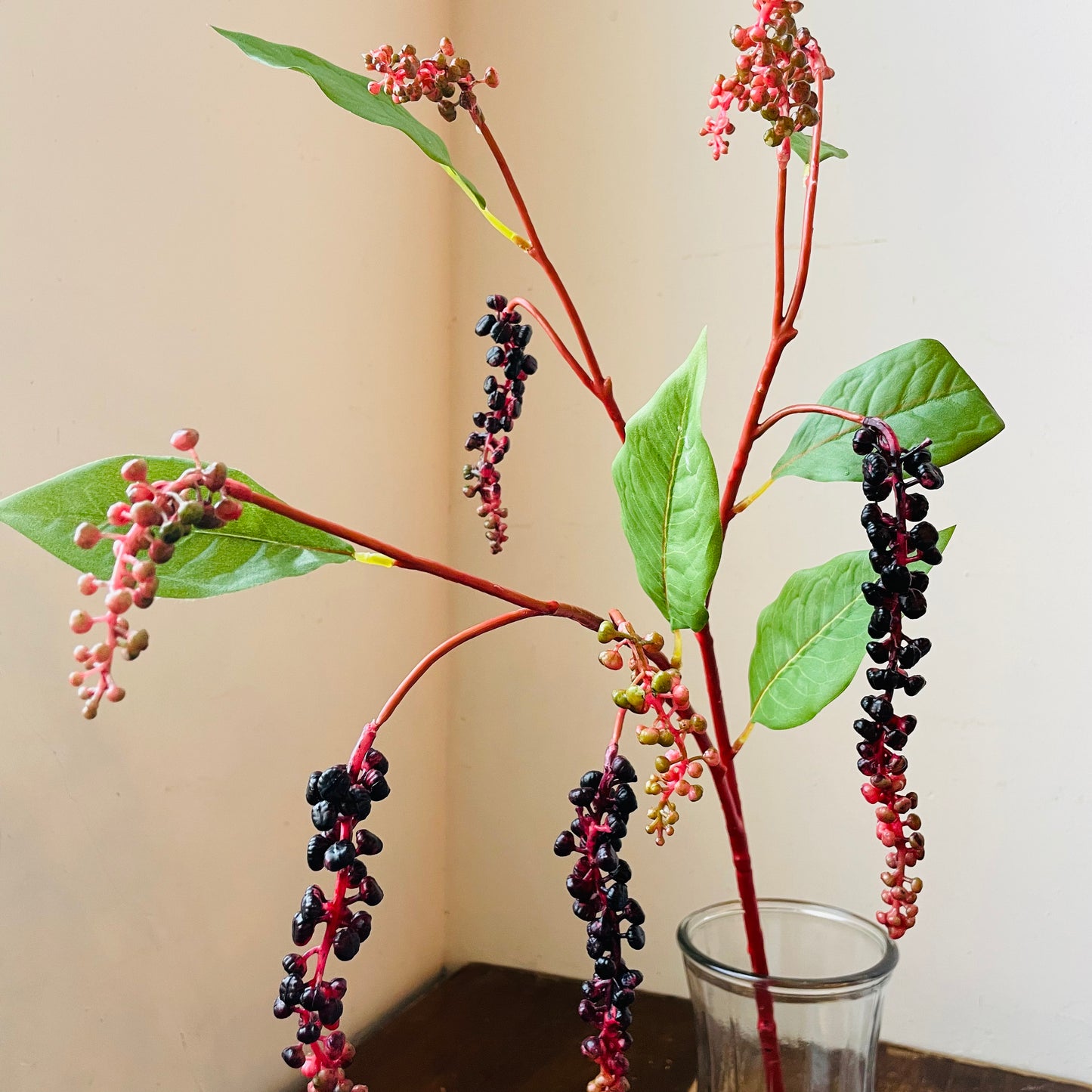 Poke Berry Stem