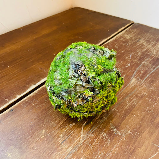 Mossy Lichen Orb