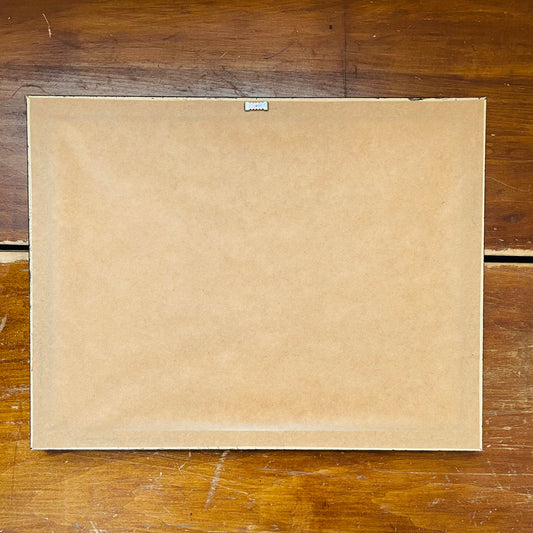 Framed Mallard Duckling Diagram